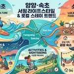 양양 속초 서핑 라이프 스타일 thumbnail
