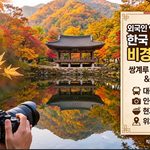 한국의 가을 숨은 비경 백양사 thumbnail