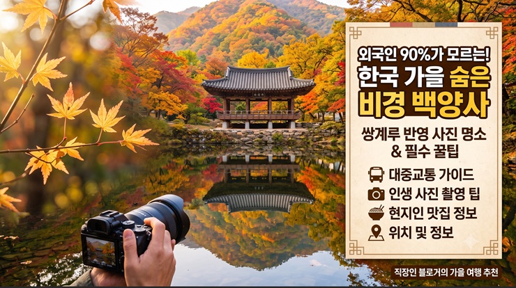 한국의 가을 숨은 비경 백양사 thumbnail