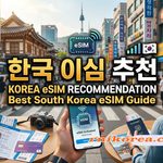 한국 이심 추천